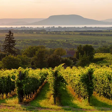 In 40863 Дом отдыха Балатонмариафюрдё