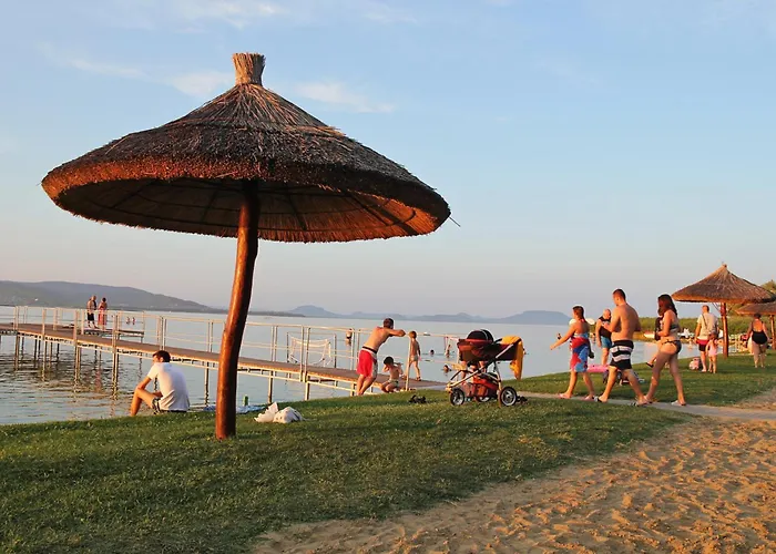 In 40863 Balatonmariafurdo