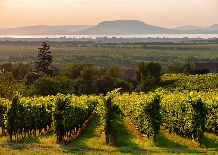 In 40863 Дом отдыха Балатонмариафюрдё